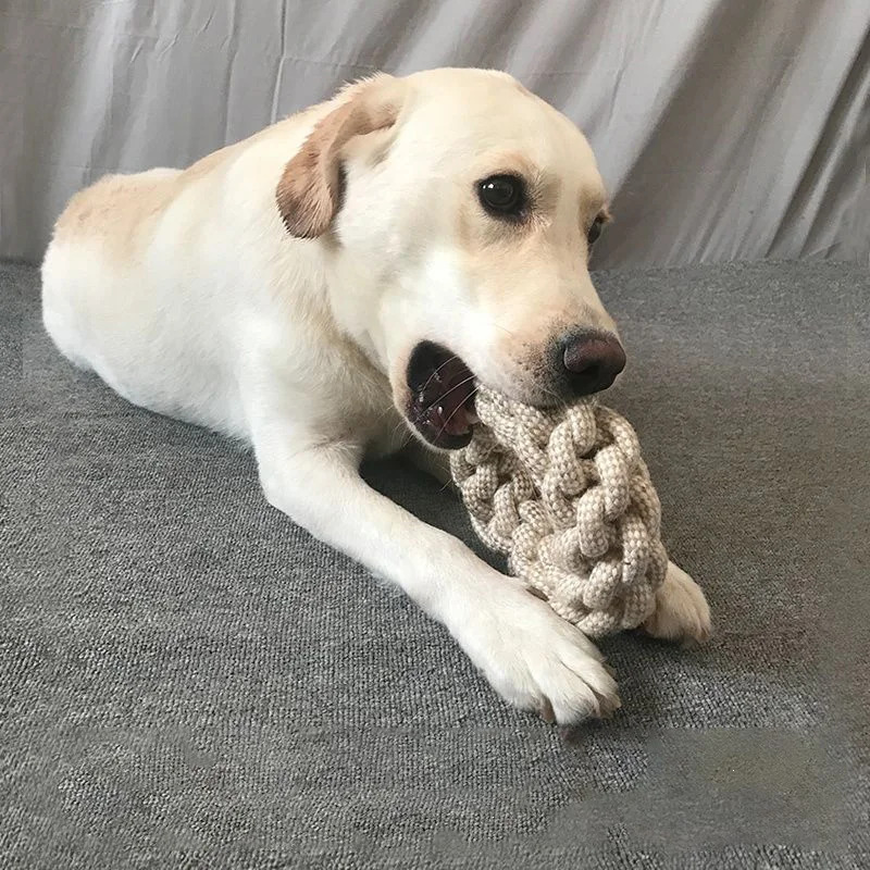 Dog Rope Toy Aggressive Chewers - Brinquedos de Corda Duráveis para Cães