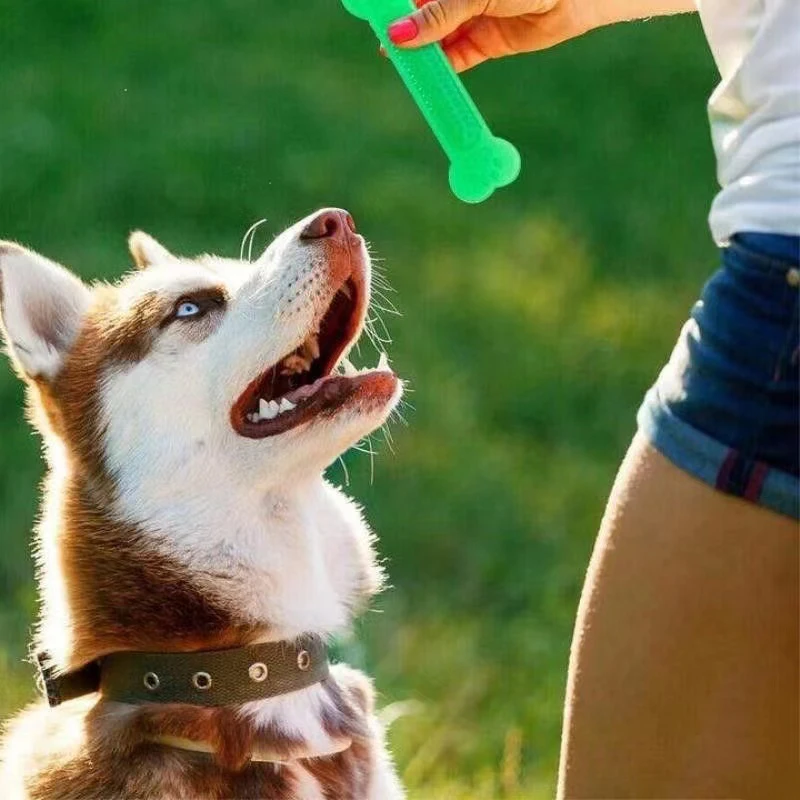 Teeth Cleaning Dog Chew Bone - Brinquedo de mastigar osso de cachorro