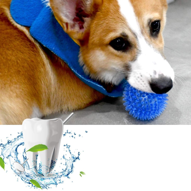 Bola de brinquedo para animais - Interactive Squeaky Plush Dog Toy avaliação e preço