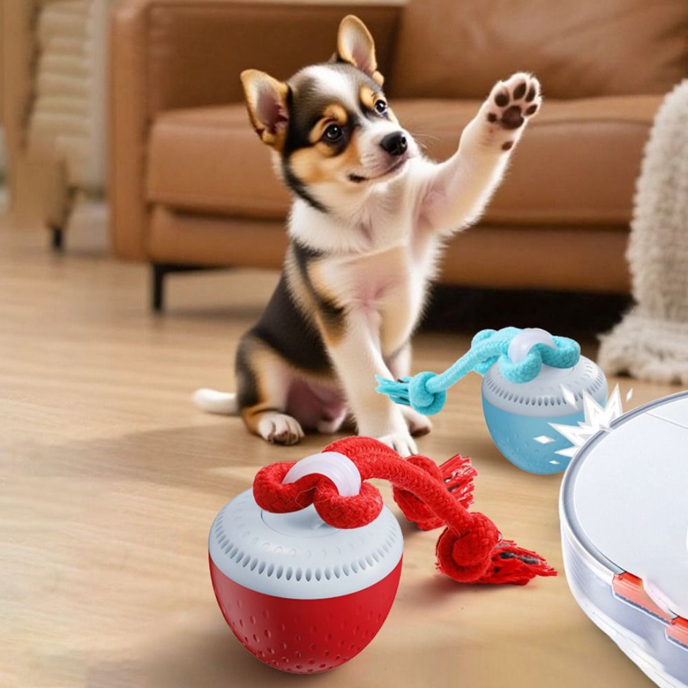 Bola de Brinquedo Inteligente  - Automatic Moving Dog Ball avaliação e preço
