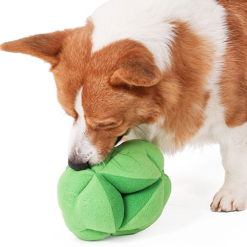 Brinquedos de Quebra-Cabeça pa - Dog Puzzle Feeder Toy avaliação e preço