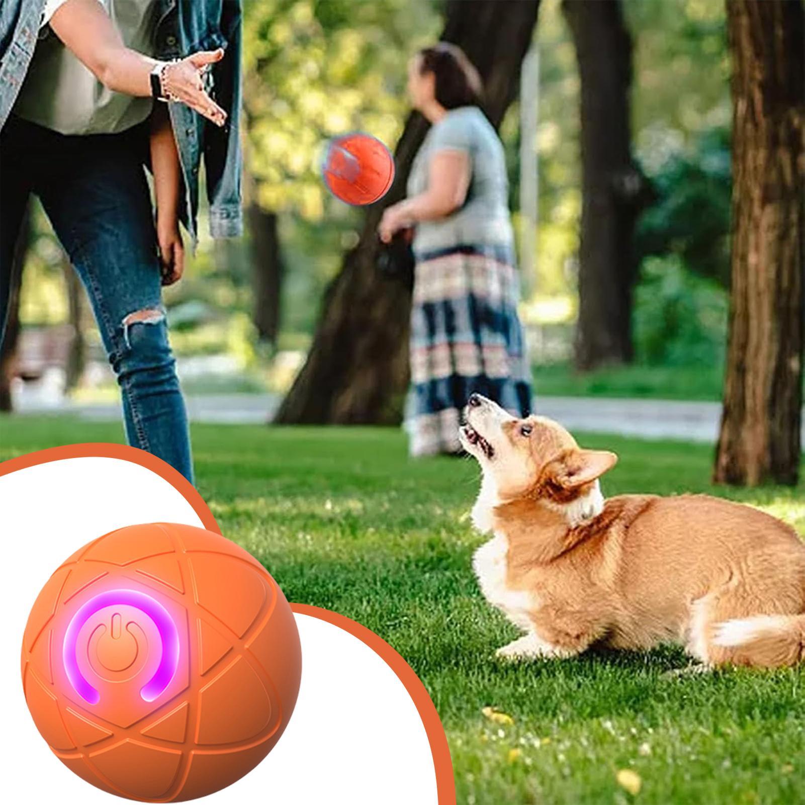 Brinquedos interativos intelig - Automatic Moving Dog Ball avaliação e preço