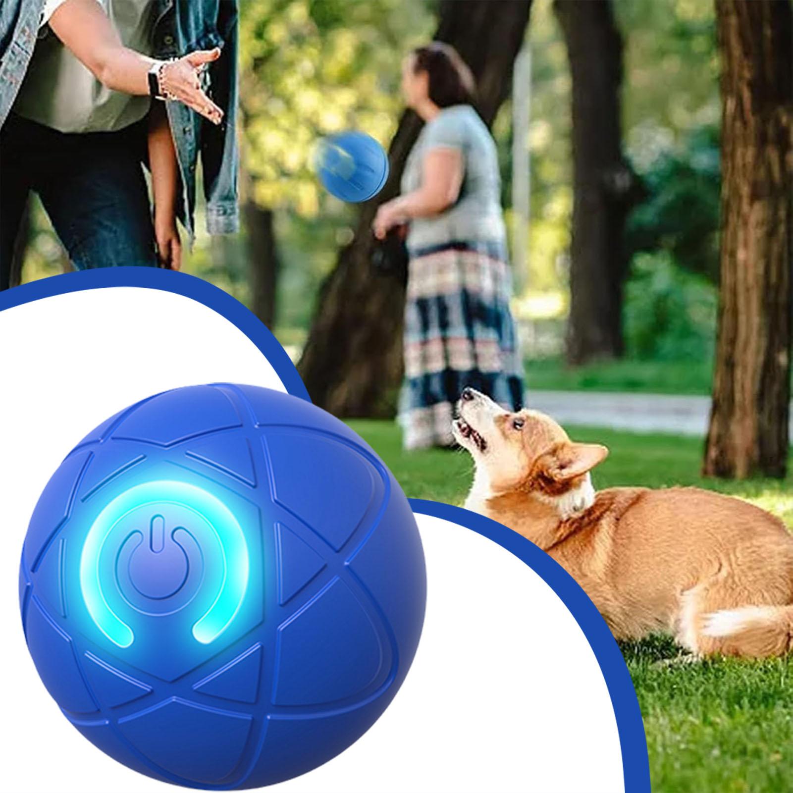 1 unidade Bola de Brinquedo pa - Automatic Moving Dog Ball avaliação e preço