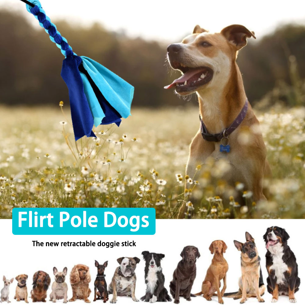 Vara retrátil para cães, brinq - Interactive Squeaky Plush Dog Toy avaliação e preço