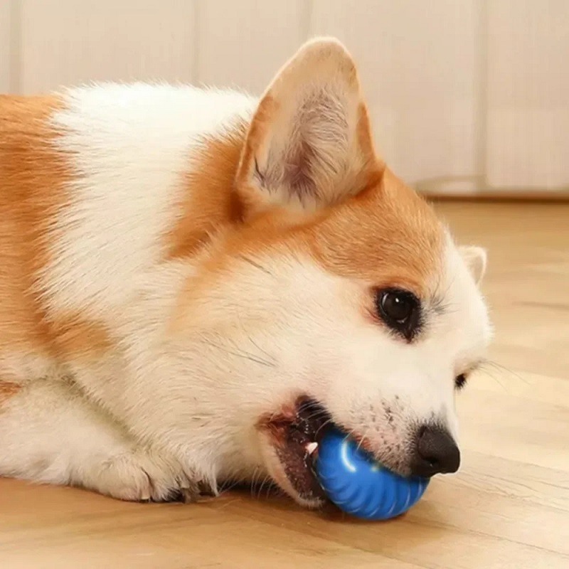 Bola de Brinquedo Automática p - Automatic Moving Dog Ball avaliação e preço