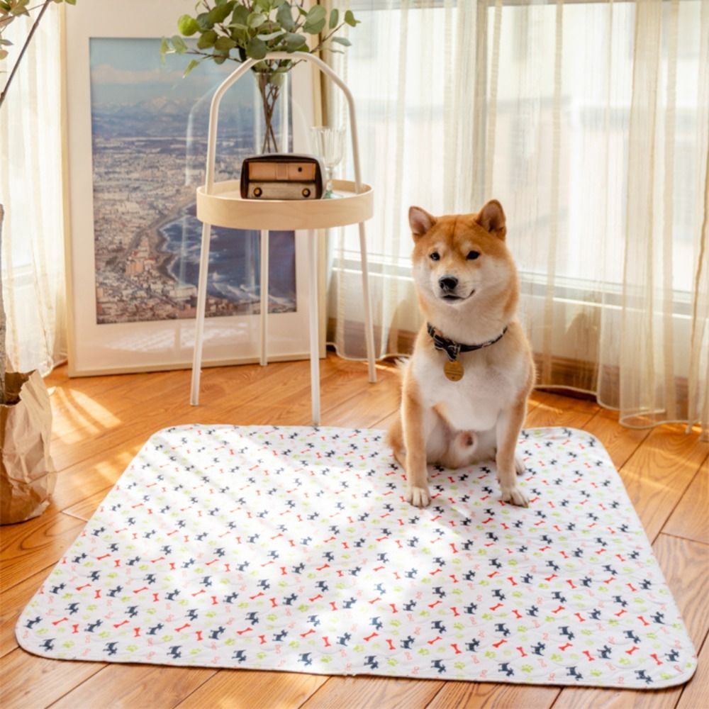 Tapete para Cães Super Absorve - Pet Beds avaliação e preço